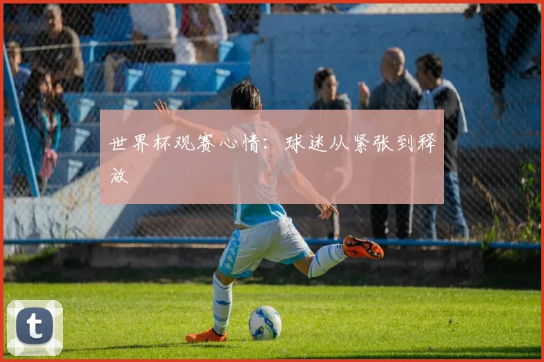 世界杯观赛心情：球迷从紧张到释放
