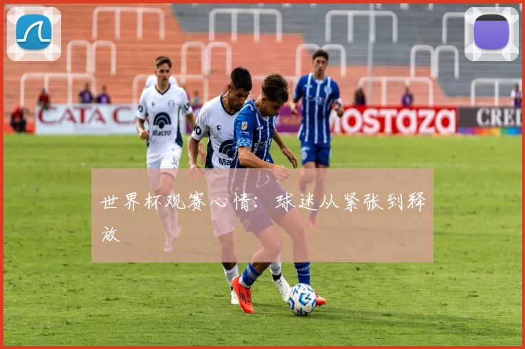 世界杯观赛心情：球迷从紧张到释放