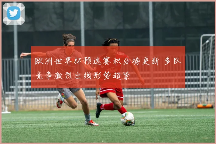 欧洲世界杯预选赛积分榜更新 多队竞争激烈出线形势趋紧