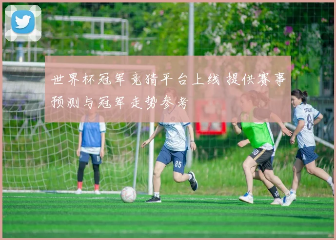 世界杯冠军竞猜平台上线 提供赛事预测与冠军走势参考