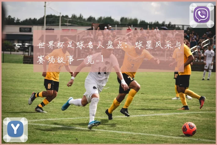 世界杯足球名人盘点：球星风采与赛场故事一览_1