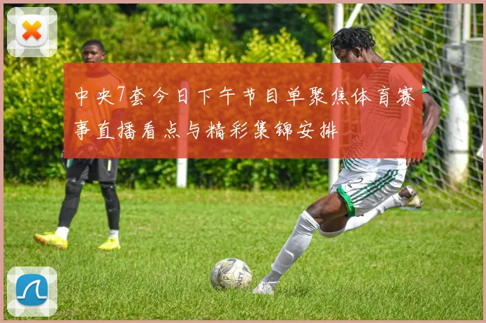 中央7套今日下午节目单聚焦体育赛事直播看点与精彩集锦安排