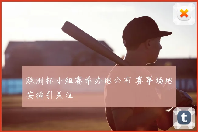 欧洲杯小组赛举办地公布 赛事场地安排引关注
