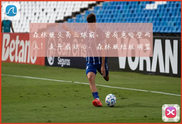森林狼交易三球前，曾有意哈登两人！麦丹成核心，森林狼短板明显