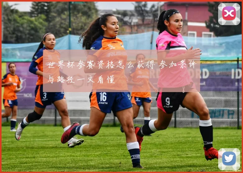 世界杯参赛资格怎么获得 参加条件与路径一文看懂