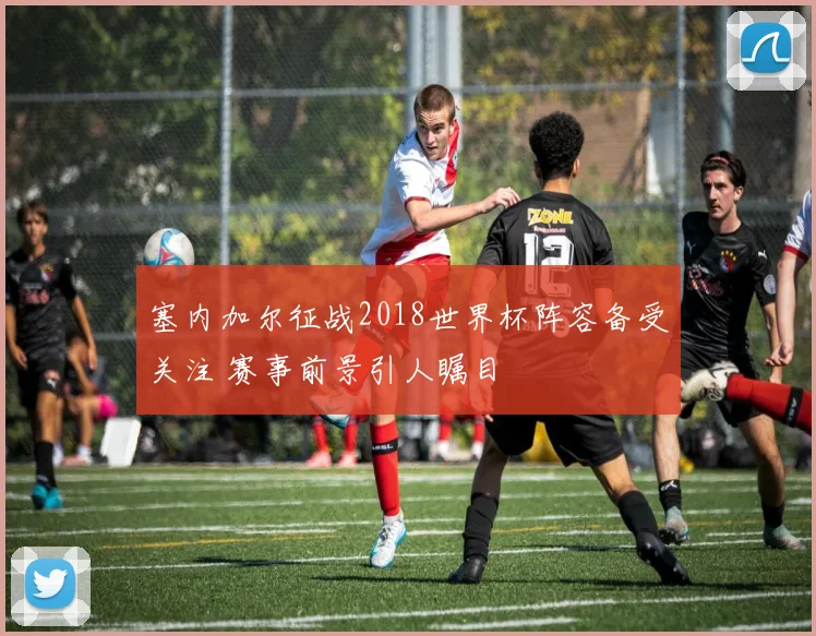 塞内加尔征战2018世界杯阵容备受关注 赛事前景引人瞩目