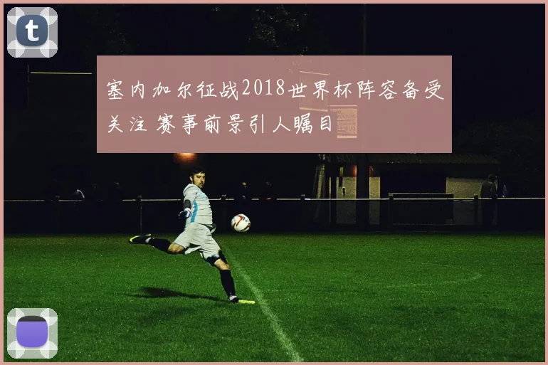 塞内加尔征战2018世界杯阵容备受关注 赛事前景引人瞩目