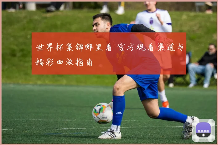 世界杯集锦哪里看 官方观看渠道与精彩回放指南
