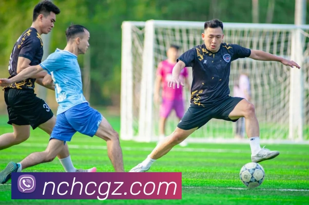 平台展示图